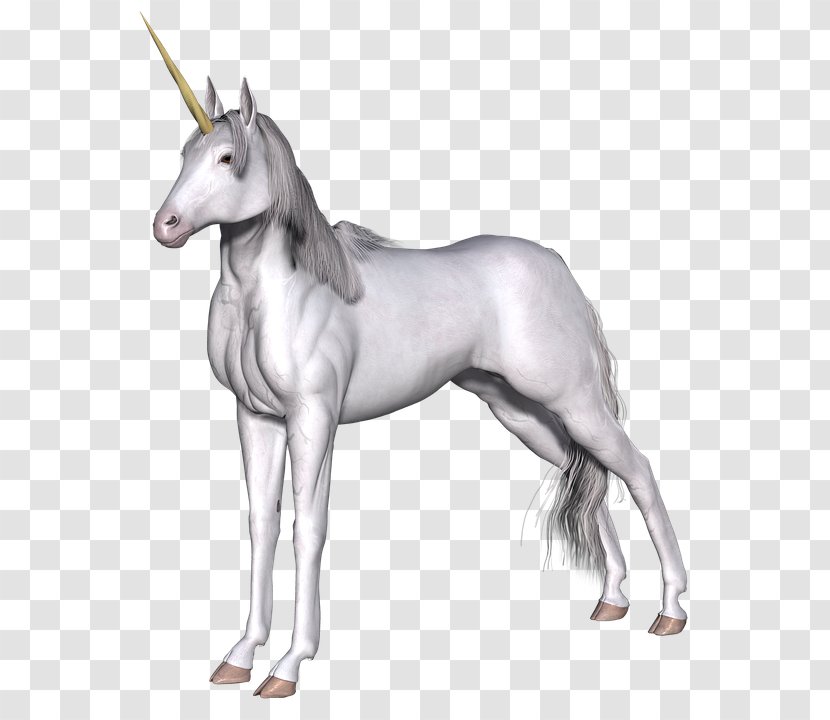 Unicorn Clip Art Legendary Creature Image - Mustang Horse Transparent PNG