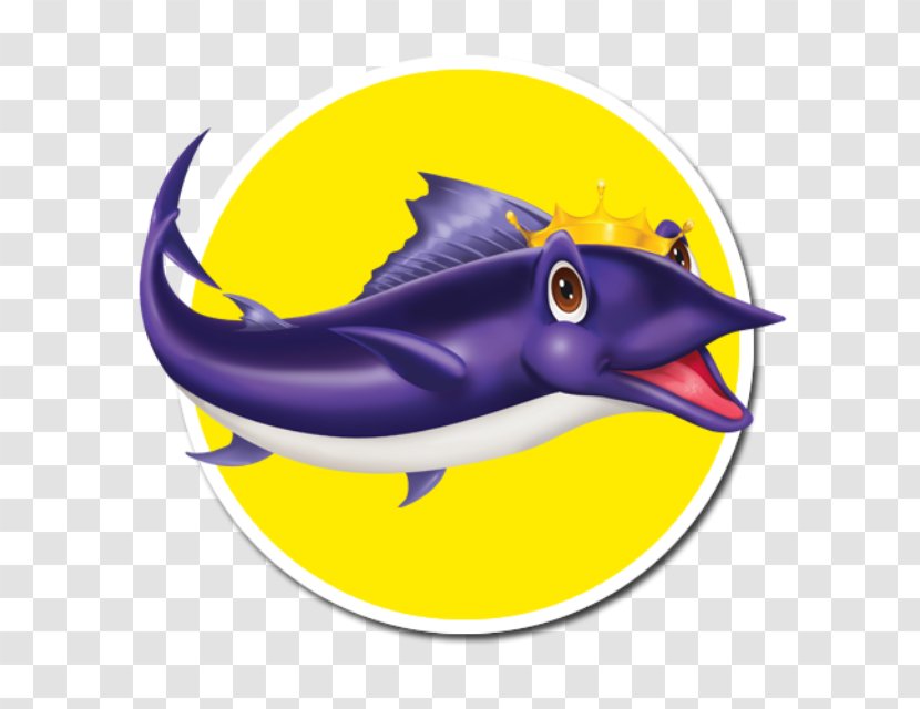 Dolphin Houston Swim Club Clip Art School Swimming - Marine Mammal - Freestyle Starts Transparent PNG