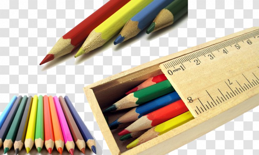 School Pencil - Information - Colored Pencils,Teaching Elements Transparent PNG