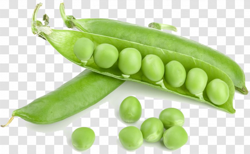 Background Green - Lima Bean - Pigeon Pea Hyacinth Transparent PNG