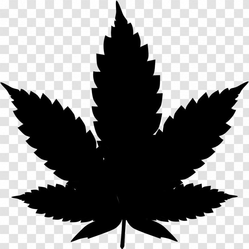 Cannabis Sativa Clip Art Tea - Smoking Transparent PNG