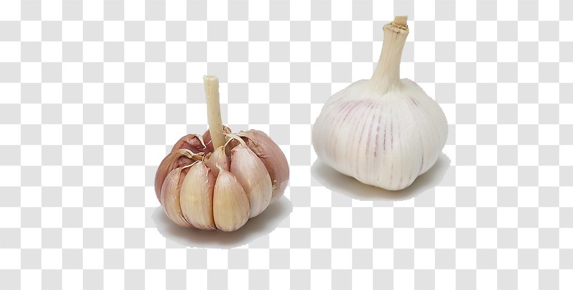 Garlic Shallot Vegetable - Onion Transparent PNG