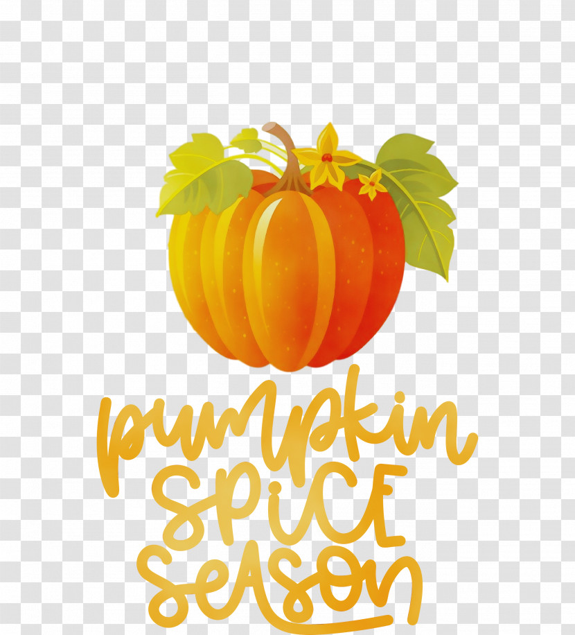 Winter Squash Calabaza Squash Natural Food Logo Transparent PNG