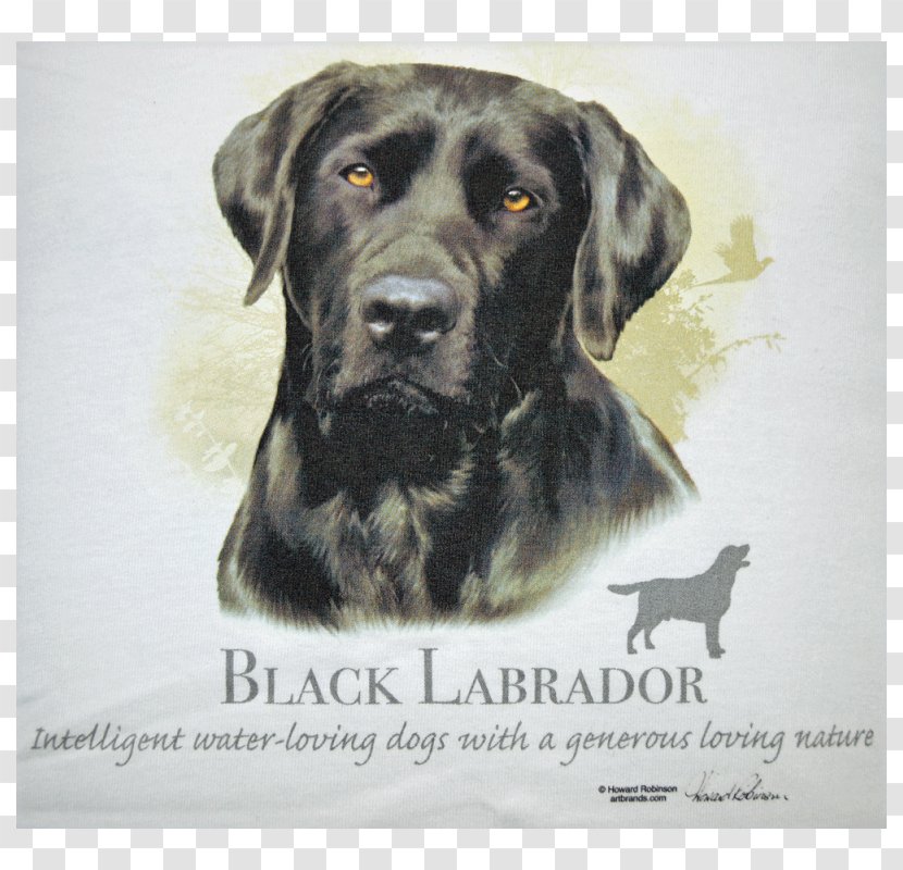 Labrador Retriever Puppy Boston Terrier German Shepherd T-shirt - Painting Transparent PNG