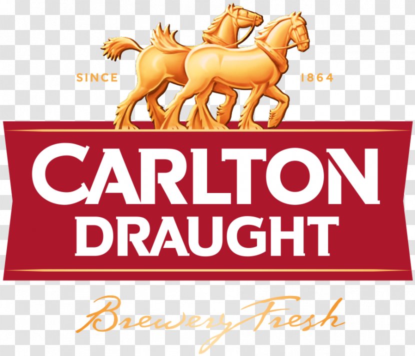 Carlton Draught & United Breweries Beer Foster's Group Lager - Brewing Grains Malts - Label Background Transparent PNG