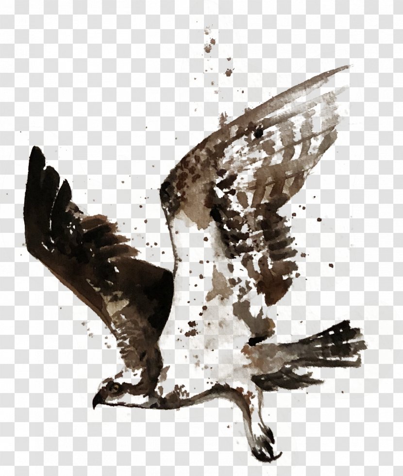 The Osprey Menu Open Water Brooklyn Bridge Food - Fauna - Milk Moustache Transparent PNG