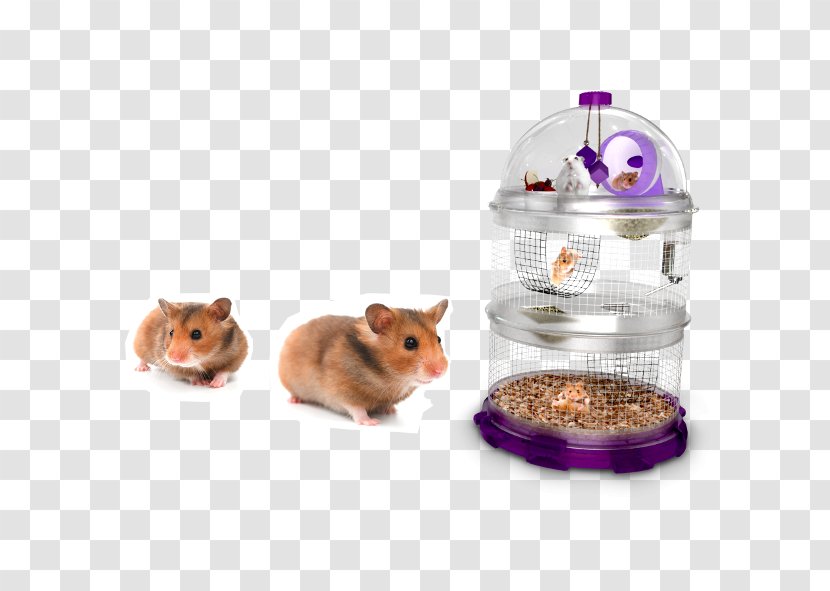 Hamster Cage Gerbil Roborovski - Mouse Transparent PNG