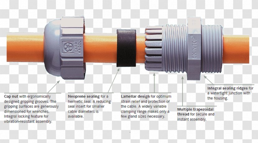 Cable Gland Lapp Gruppe Electrical Management Automation - Lead - Cap America Transparent PNG