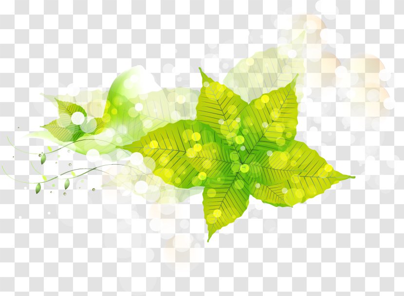 Light Flower Euclidean Vector Petal - Brilliant Effects Flowers Transparent PNG