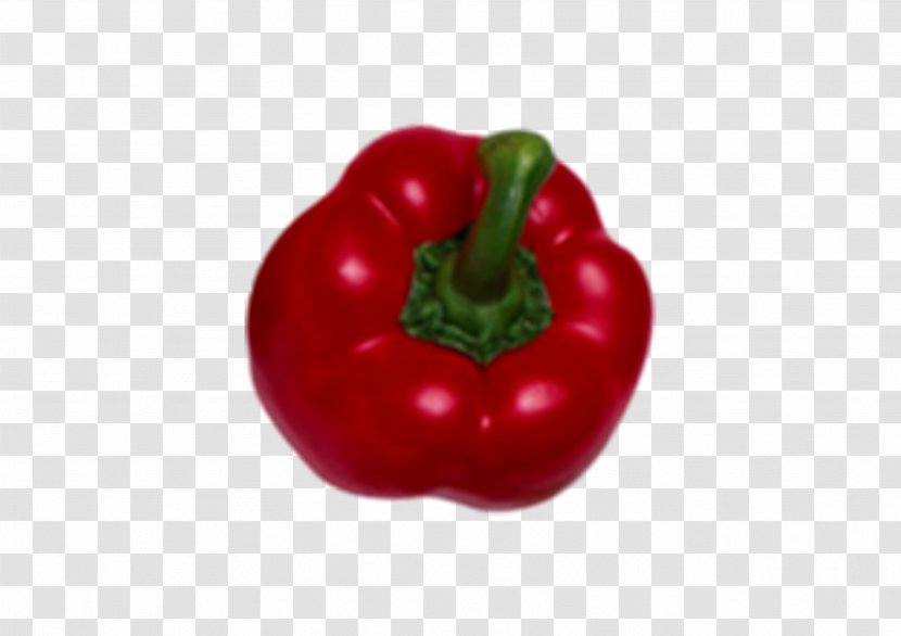 Habanero Bell Pepper Chili Paprika Malagueta - Hand-painted Transparent PNG