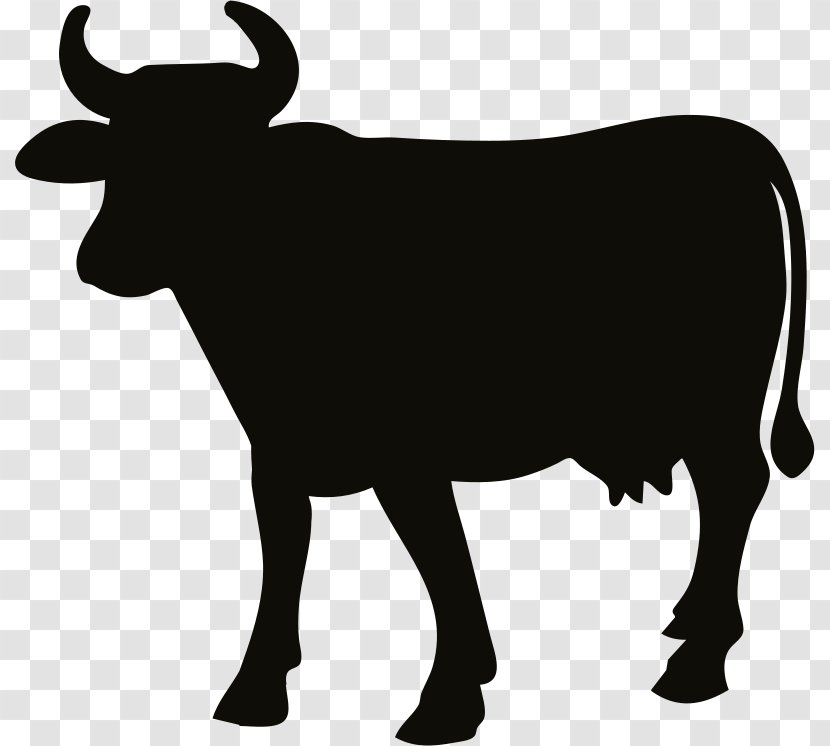 Angus Cattle Silhouette - Snout - Cow Transparent PNG