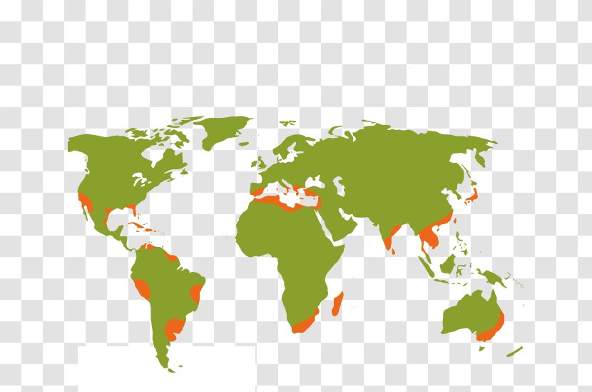 World Map Earth Globe Transparent PNG