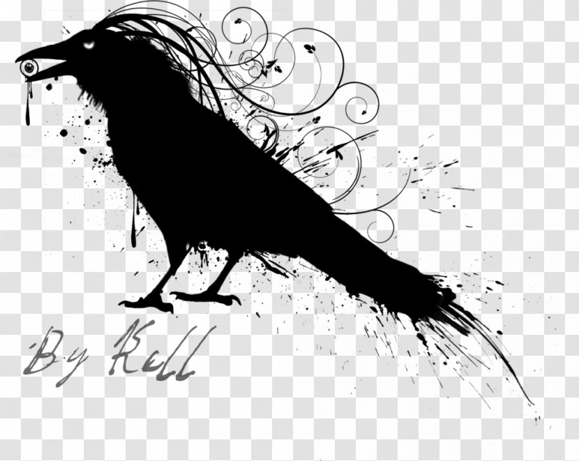 Drawing Bird Raven Transparent PNG