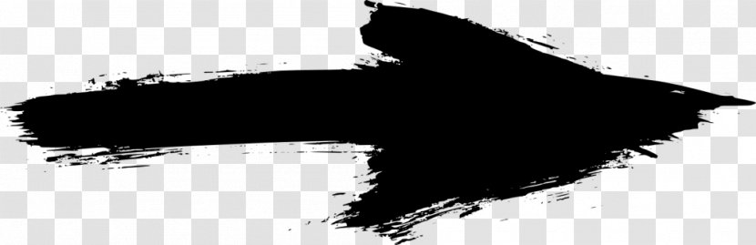 Beak Dog Bird Of Prey Black & White - Monochrome Photography - MArrow Transparent Background Transparent PNG