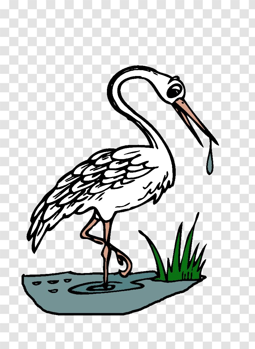 Coloring Book Great Herons Beak Water Bird - Wildlife - Wordpress Transparent PNG