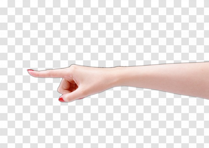 Thumb Nail Hand Model - Arm - Direction Transparent PNG