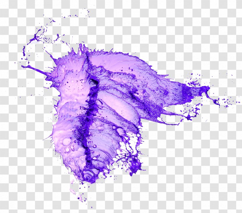 Purple Splash Water - Flower - Color Transparent PNG