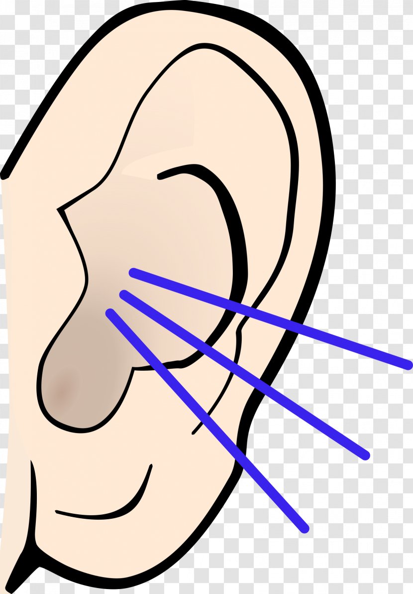 Hearing Clip Art - Cartoon - Ears Transparent PNG
