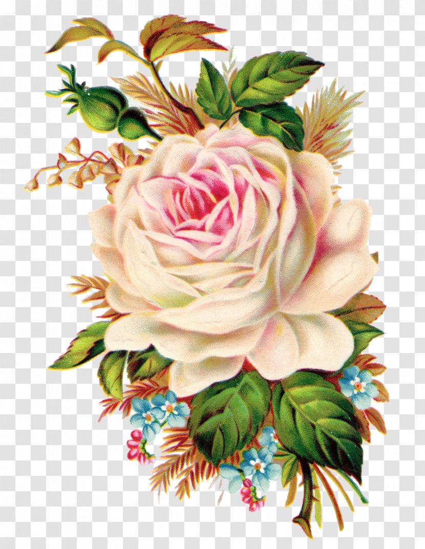 Rose Art Clip - Flower Bouquet - Botanical Flowers Transparent PNG