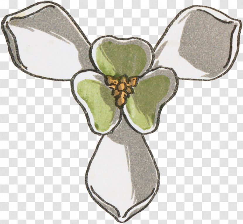 Flowering Plant - Symbol - The Fairy Scatters Flowers Transparent PNG