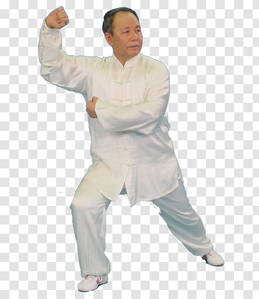 Tai Chi Xing Yi Quan Zhan Zhuang Qigong Chinese Martial Arts - Arm - Joint Transparent PNG