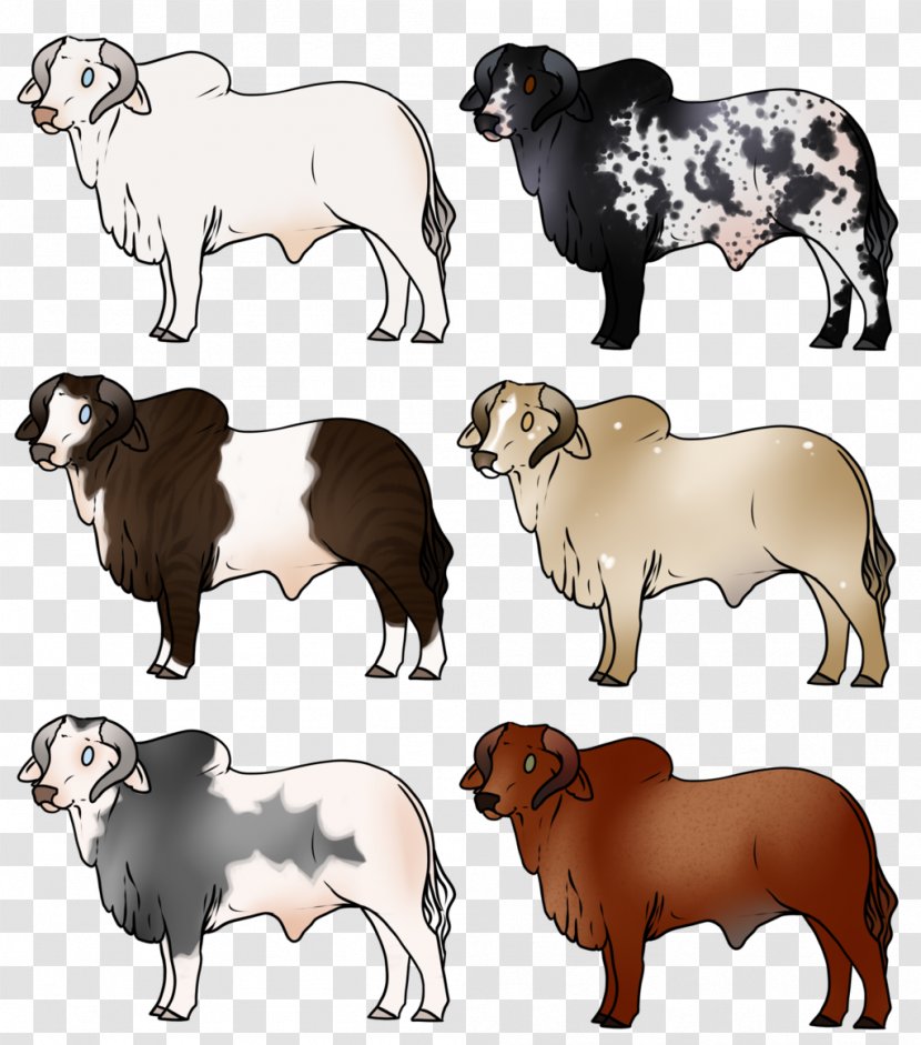 Sheep Cattle Ox Goat Dog - Like Mammal - Brahman Transparent PNG