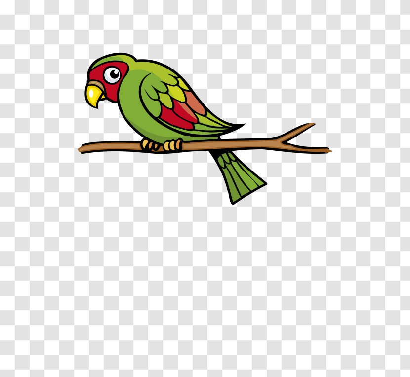 Budgerigar Parrot Bird Beak Macaw - Red And Green Cartoon Transparent PNG