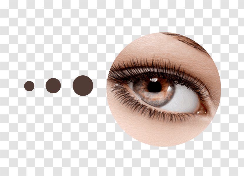 Microblading Permanent Makeup Eyelash Extensions Make-up Oldenburg - Silhouette - Augen Transparent PNG