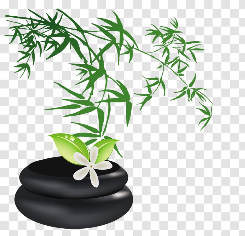 Drawing Bamboo - Flowerpot Transparent PNG