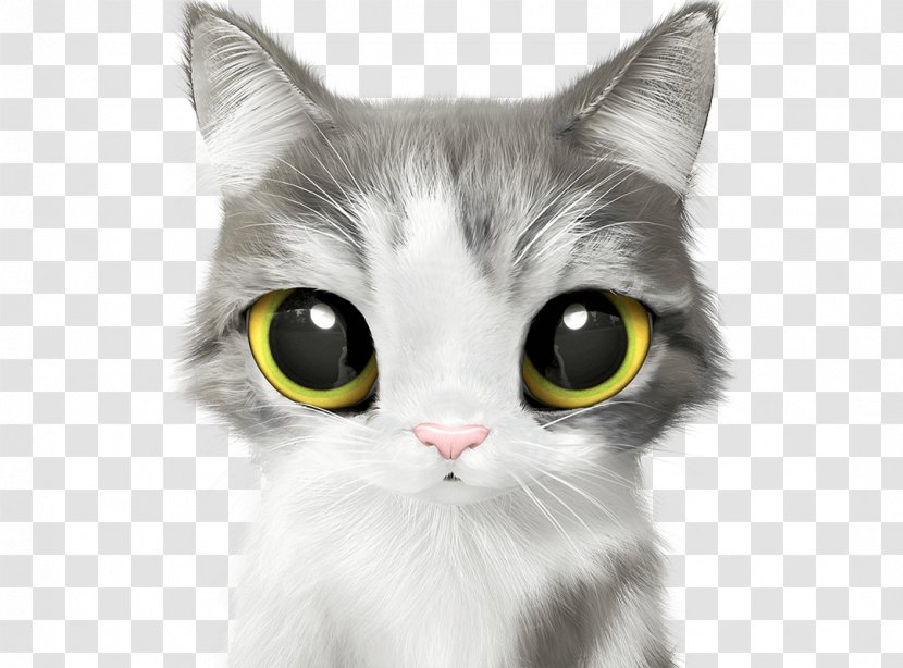 Kitten Cat Dog Cuteness Pet - Frame - Candy Sugar Transparent PNG