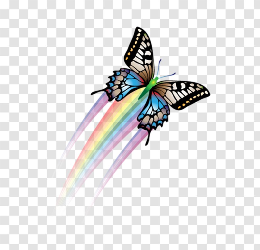 Butterfly Papillon Dog Software - Invertebrate - Colorful Transparent PNG