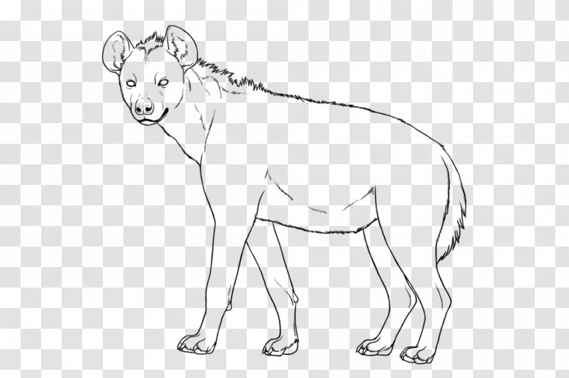 Lion Spotted Hyena Line Art Drawing - Walking Shoe Transparent PNG