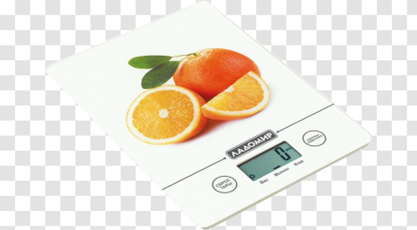 Measuring Scales Kitchen Home Appliance Price Blender - Citrus Transparent PNG