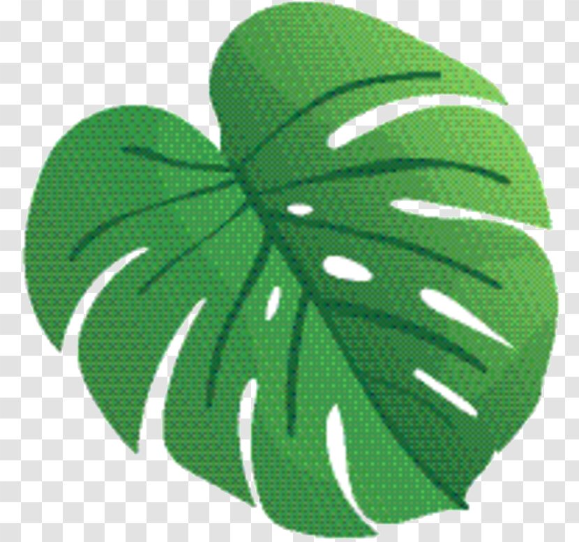Green Leaf Logo - Plant - Shamrock Transparent PNG