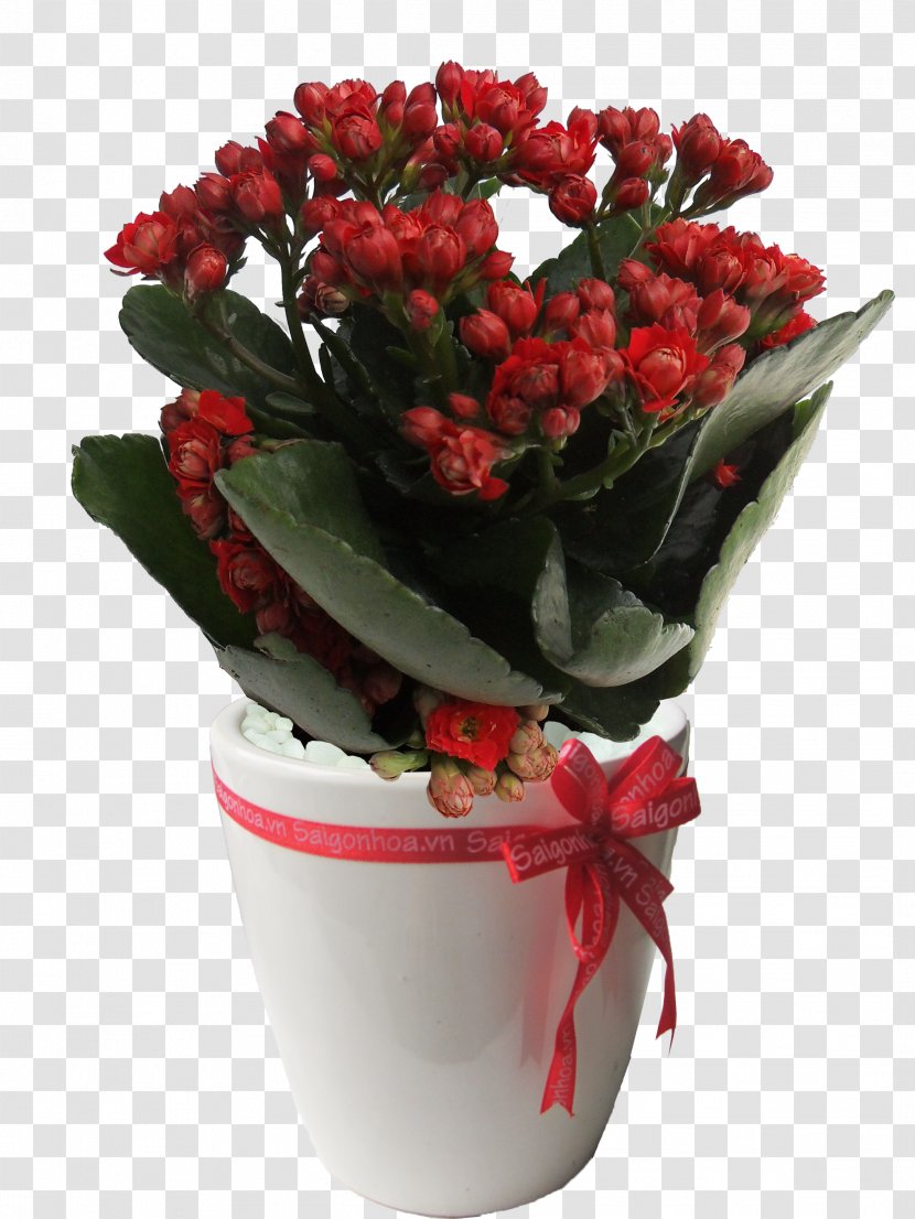 Floral Design Cut Flowers Flowerpot Flower Bouquet - Floristry - Hoa Sứ Transparent PNG