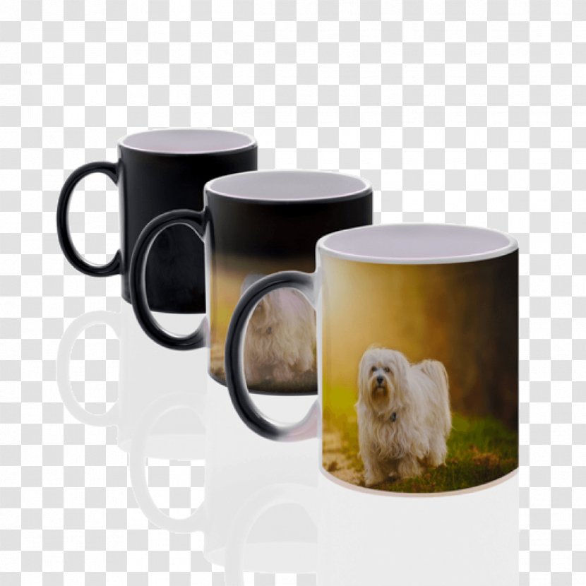 Coffee Cup Mug Teacup Ceramic Tableware - Mugs Transparent PNG