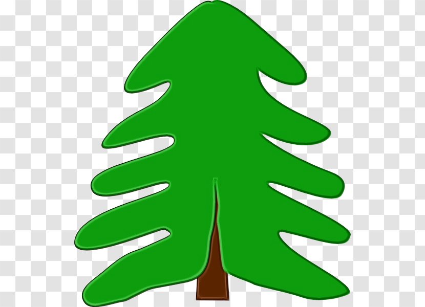 Christmas Tree Watercolor - White Pine Conifer Transparent PNG