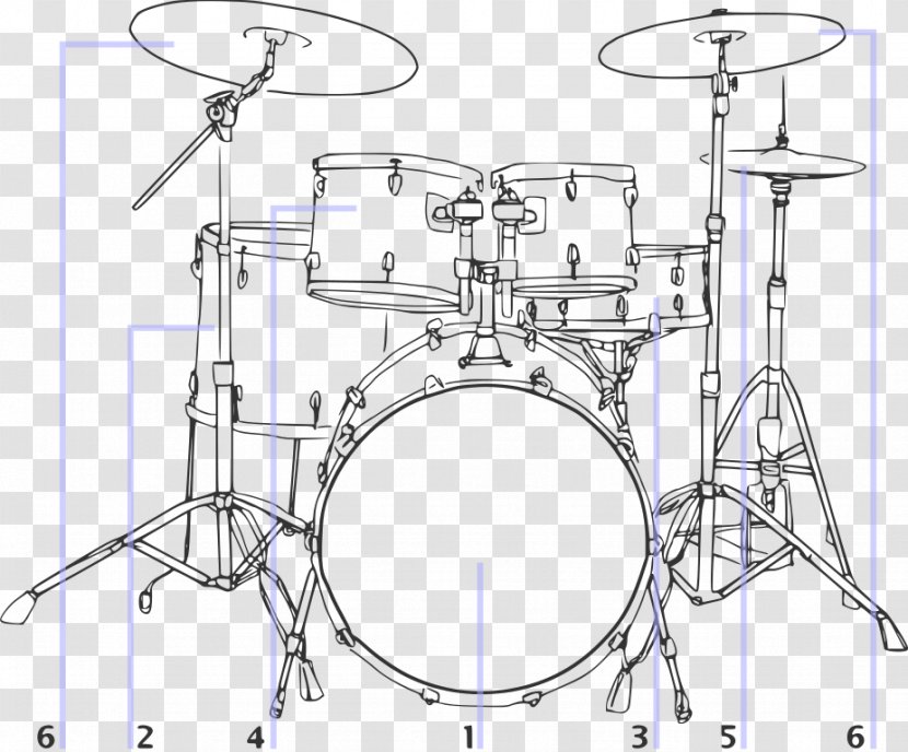Bass Drums Tom-Toms Snare - Tree - Encyclopedia Illustration Transparent PNG
