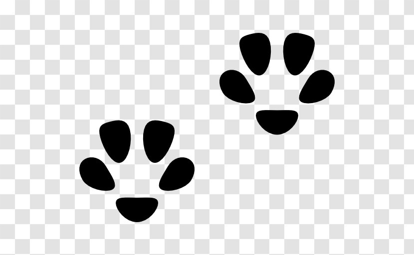 Cat Dog Footprint Paw Felidae - Pet Transparent PNG