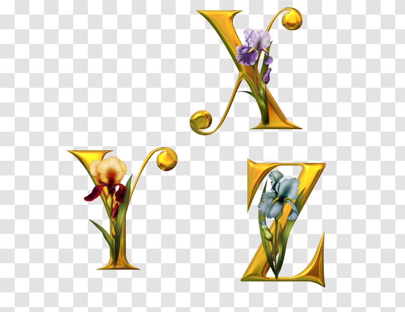 Fancy Alphabets Letter English Alphabet Flower - Plant Transparent PNG