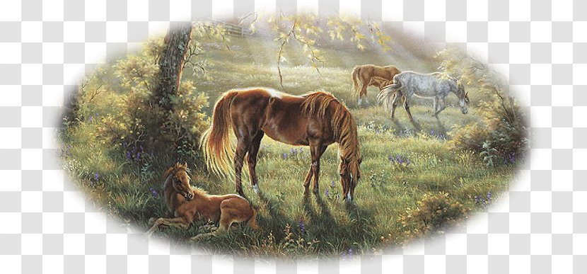 Painting Horse Artist Printmaking - Stallion Transparent PNG