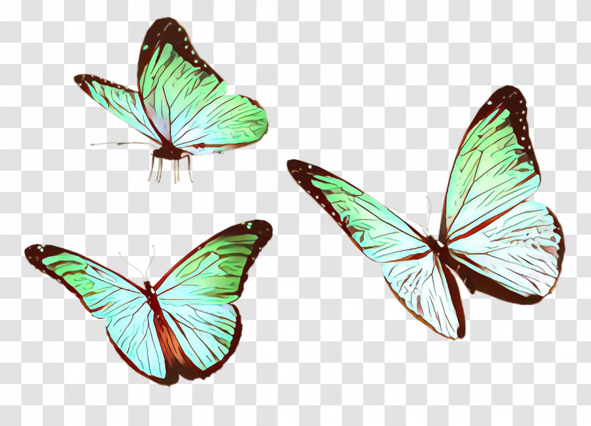 Butterfly Insect Moths And Butterflies Pollinator Wing Transparent PNG