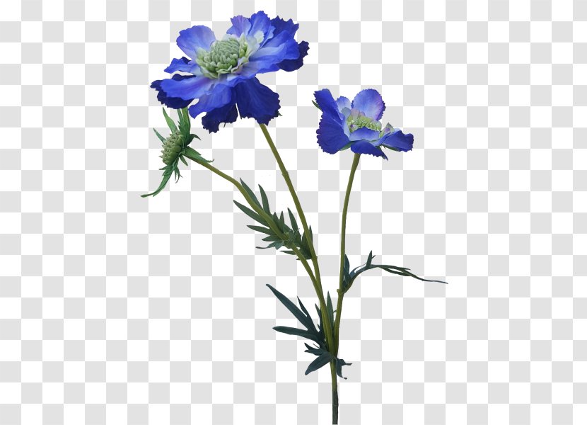 Anemone Larkspur Cut Flowers Plant Stem Herbaceous - Delphinium - Artificial Mala Transparent PNG