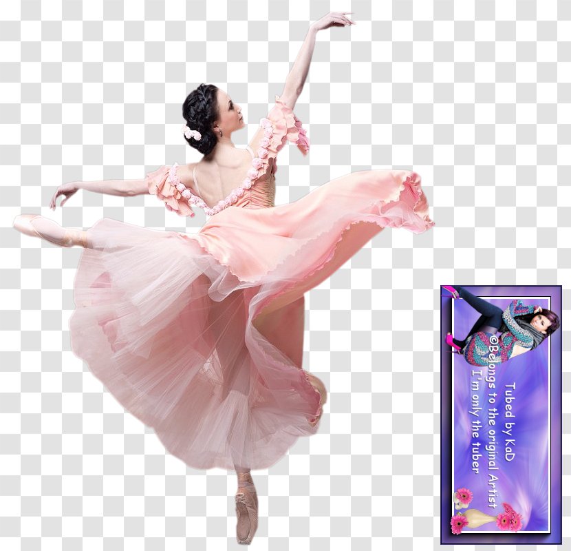 Ballet Dancer Tutu - Frame Transparent PNG