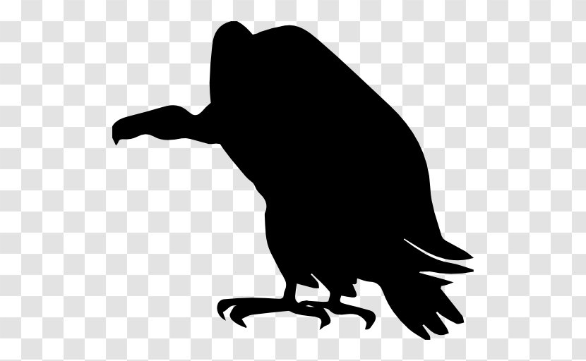 Turkey Vulture Silhouette Clip Art - Black And White Transparent PNG