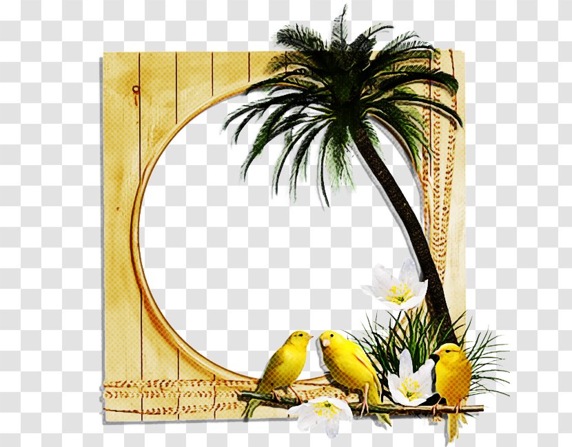 Coconut Tree Cartoon - Banana - Bird Transparent PNG