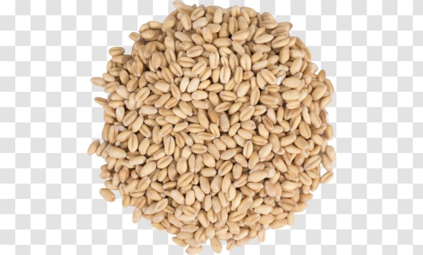 Oat Beer Brewing Grains & Malts Cereal - Dinkel Wheat Transparent PNG