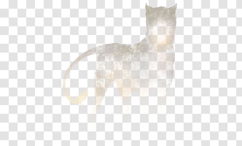 Whiskers Dog Cat Fur Snout - Puma Transparent PNG