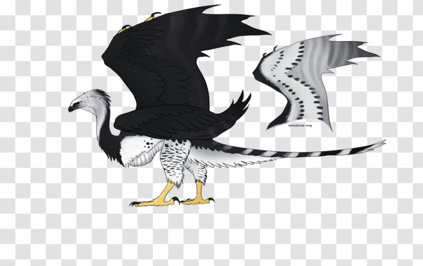 Eagle Water Bird Beak Transparent PNG