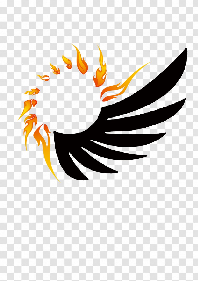 Wing Flame Fire - Chicken - Wings Design Transparent PNG